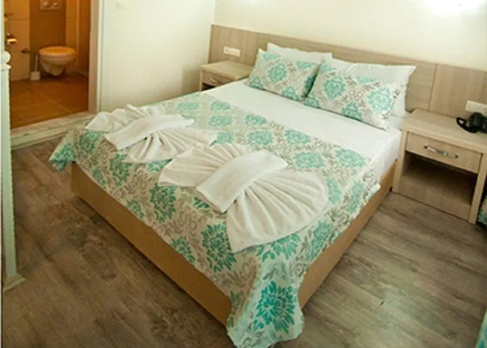 Flora Palm 4* 费特希耶